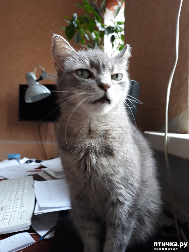 ���� 3: ������ � �����