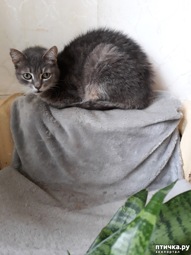 ���� 4: ������ � �����