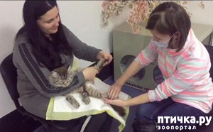 ����: � ����������� ��������� ������ �� �������� ������ ��������� ��������