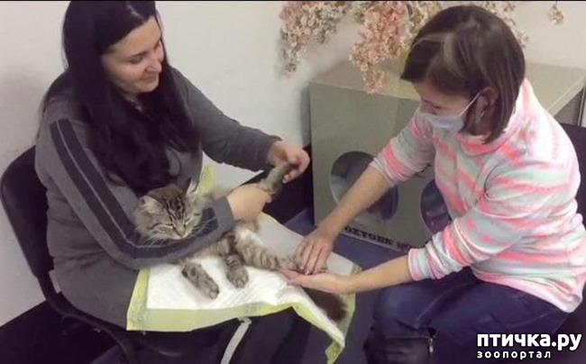 ���� 1: � ����������� ��������� ������ �� �������� ������ ��������� ��������