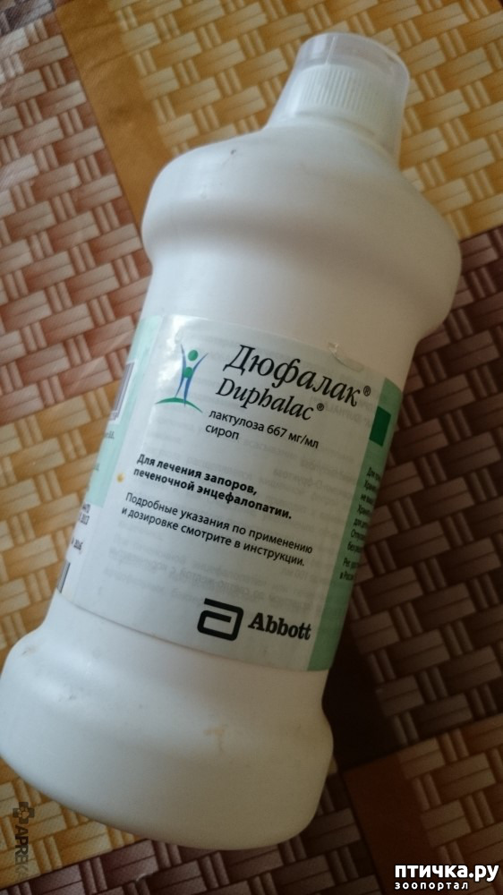 Слабительное для кота
