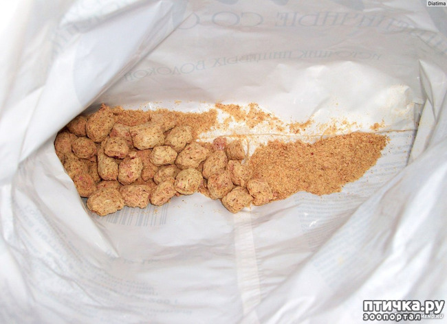 ���� 6: ������ � �����