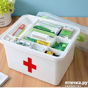 ����: ����� � ���� ������� ������ �������, ������ ��� ��������� ����� �����, �������, 2015