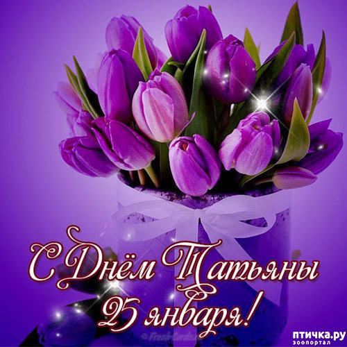 ���� 1: �������, � ����������!