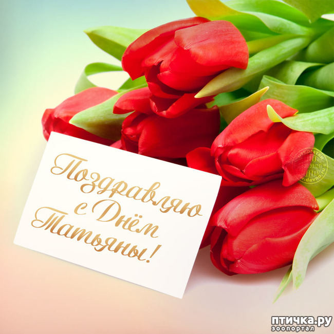 ���� 2: �������, � ����������!