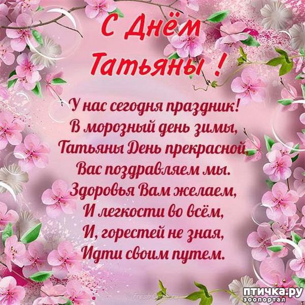 ���� 3: �������, � ����������!