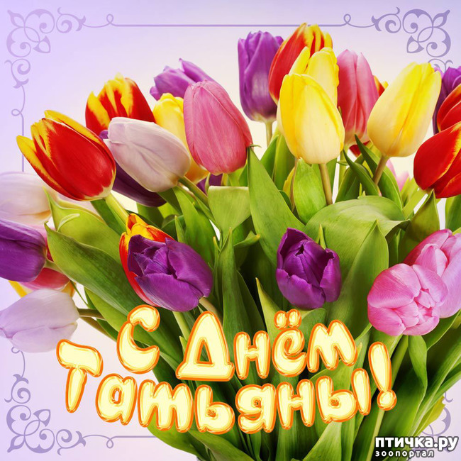 ���� 7: �������, � ����������!