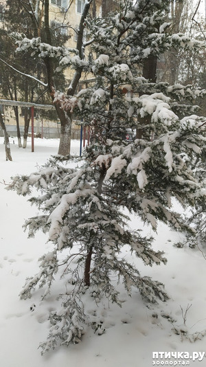 ����: ��������� �������