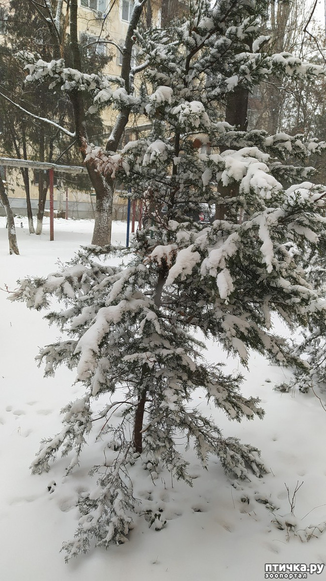 ���� 1: ��������� �������