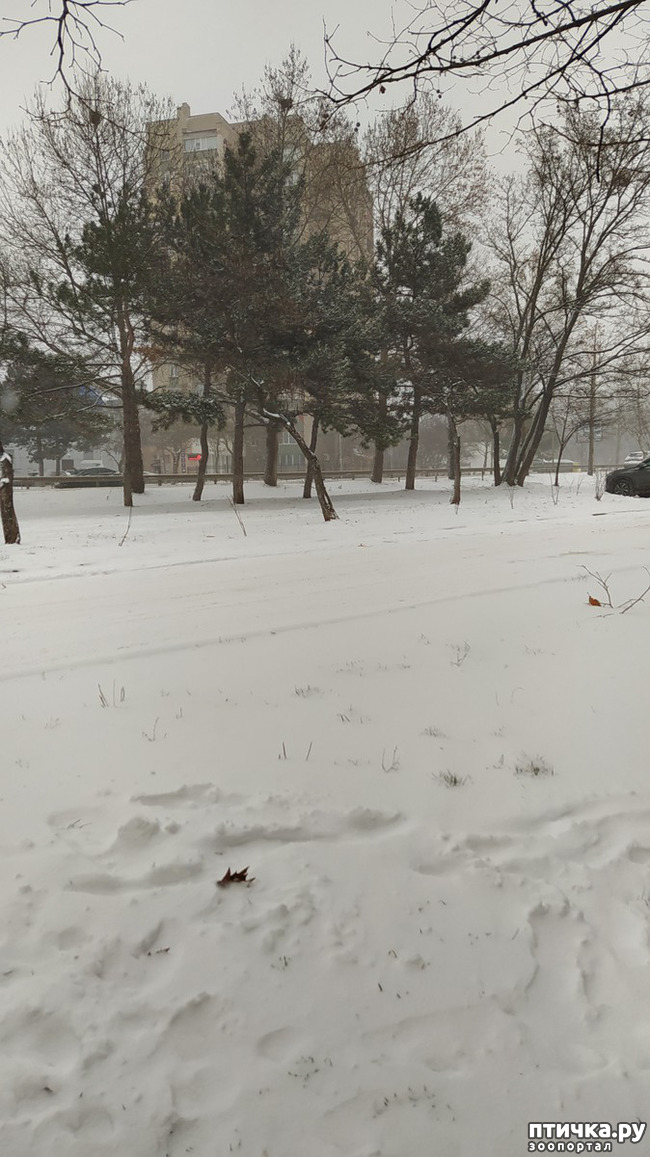 ���� 2: ��������� �������