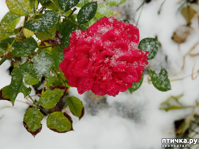 ���� 2: ���� ��-���������