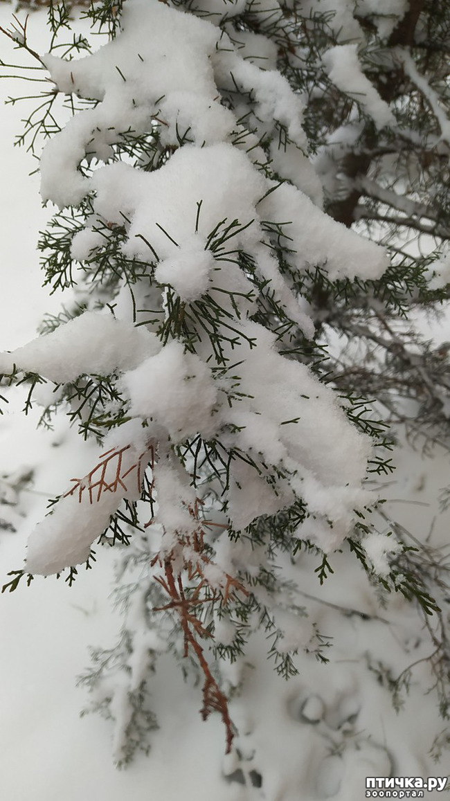 ���� 4: ��������� �������