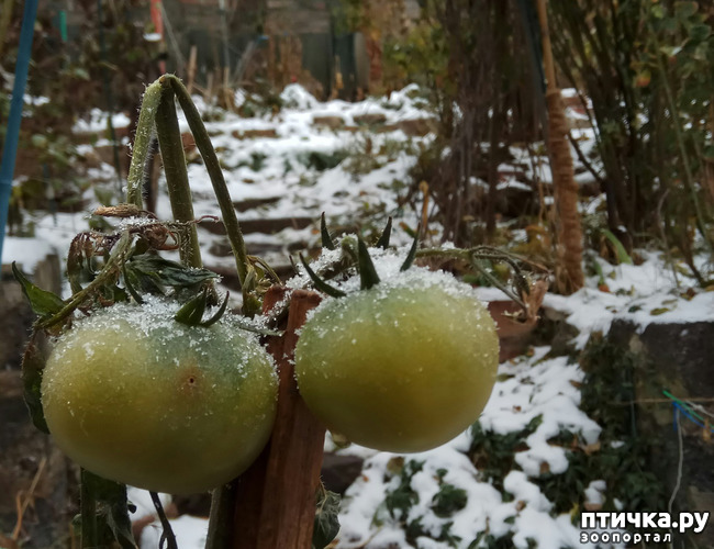 ���� 3: ���� ��-���������