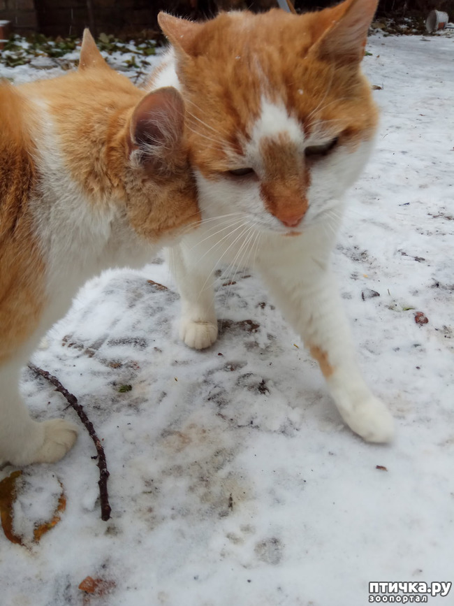 ���� 5: ���� ��-���������