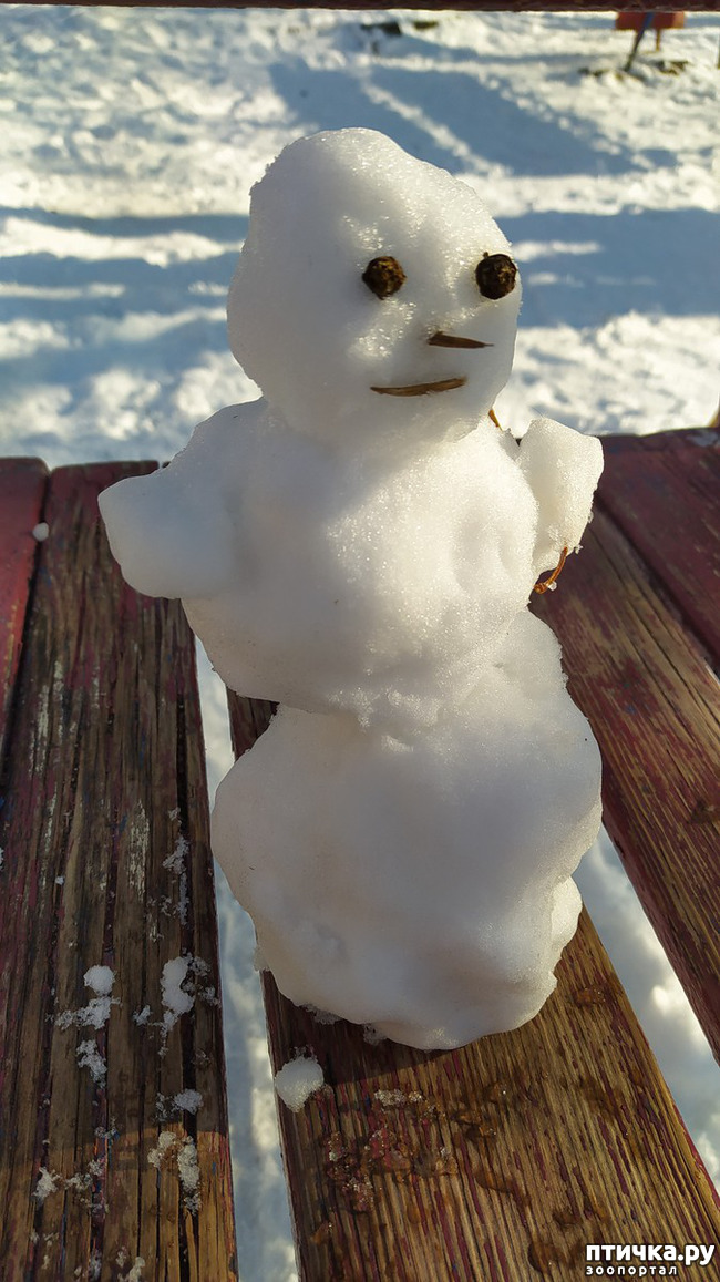 ���� 5: ��������� �������