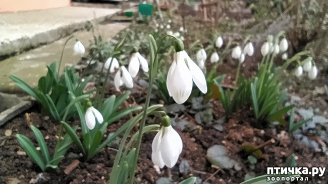 ���� 6: ��������� �������