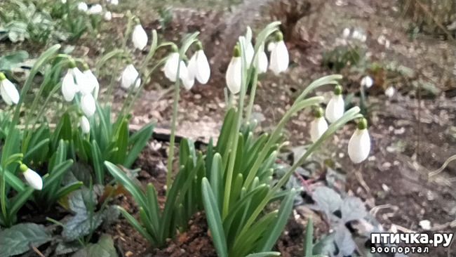 ���� 7: ��������� �������