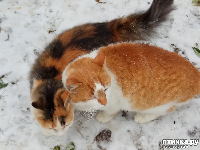 ���� 6: ���� ��-���������