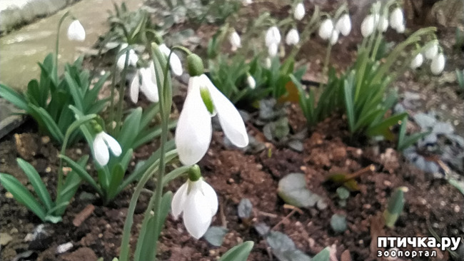 ���� 8: ��������� �������