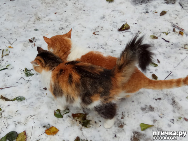 ���� 7: ���� ��-���������