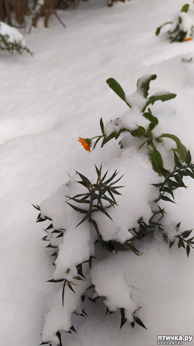 ���� 9: ��������� �������