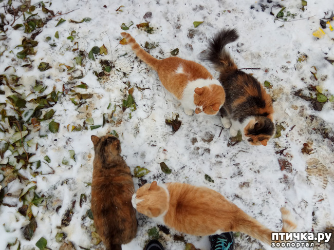 ���� 8: ���� ��-���������