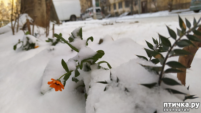 ���� 10: ��������� �������