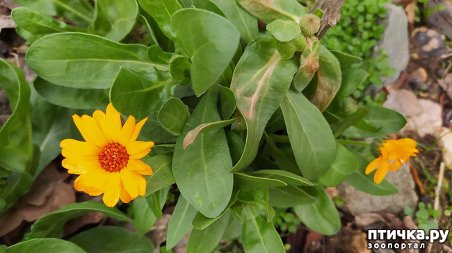 ���� 11: ��������� �������