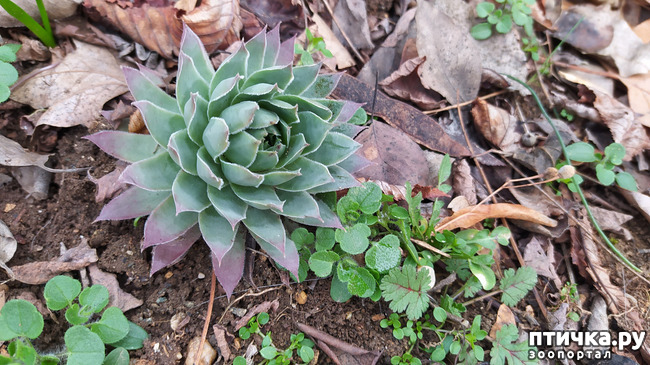 ���� 12: ��������� �������