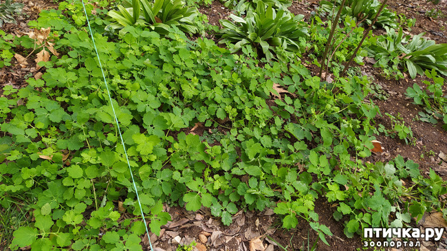 ���� 13: ��������� �������