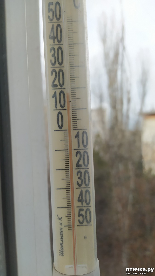 ���� 14: ��������� �������