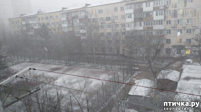 ���� 16: ��������� �������