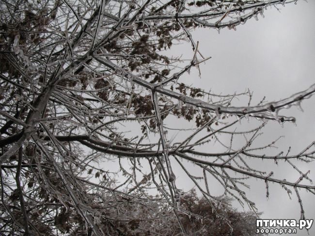 ���� 1: � ��� - ���� ����������!