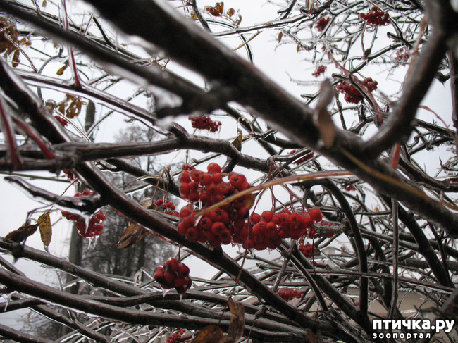 ���� 2: � ��� - ���� ����������!