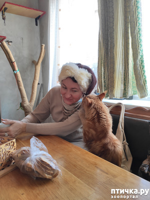 ����: �������