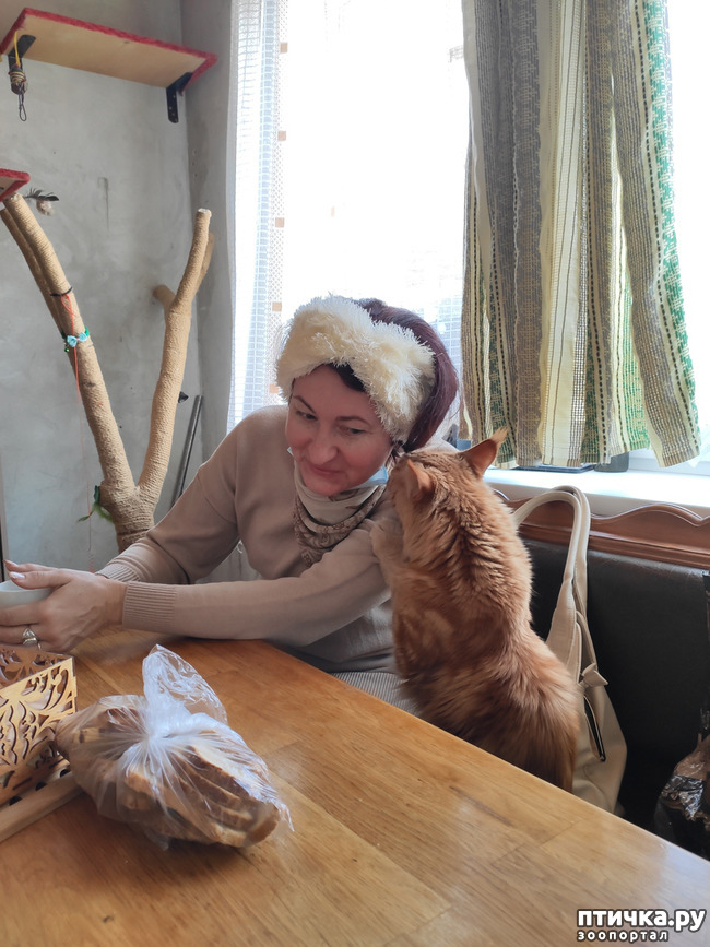 ���� 1: �������