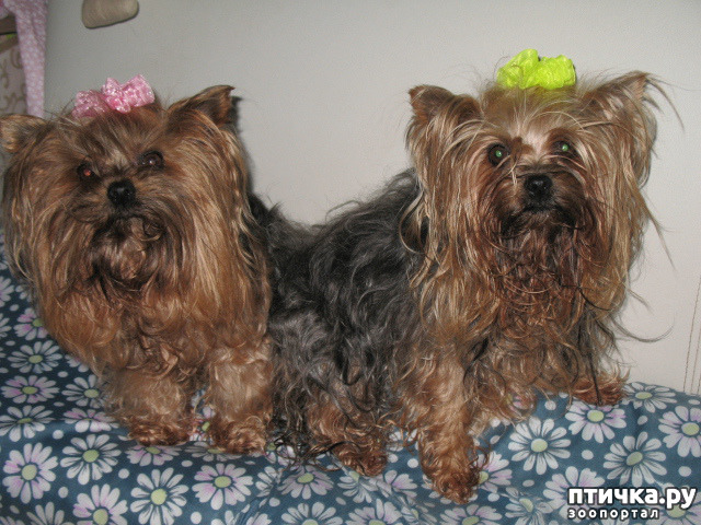 ���� 1: � ��� �����!!!