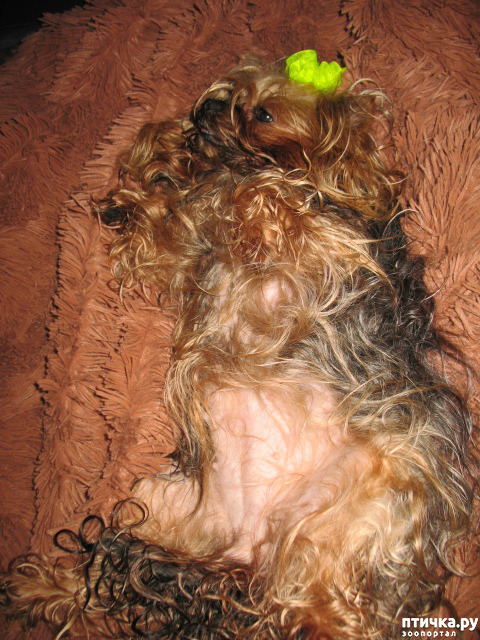 ���� 2: � ��� �����!!!