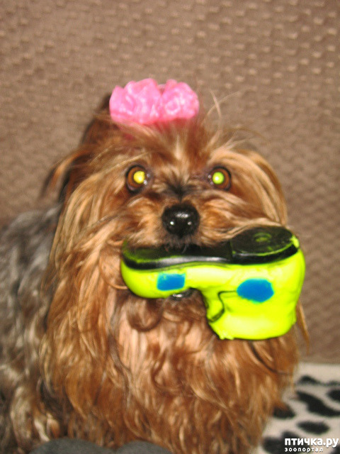 ���� 3: � ��� �����!!!