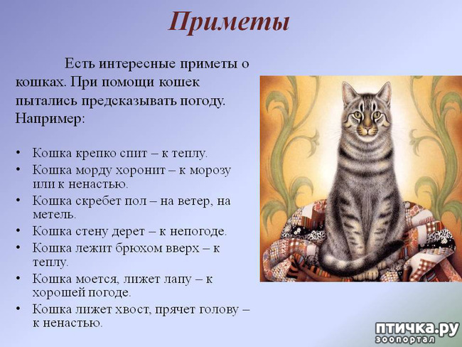  1:    