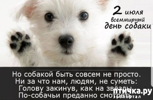 : 2  -  