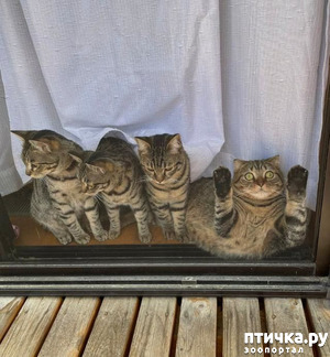 :     !