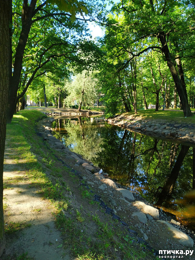  13:  