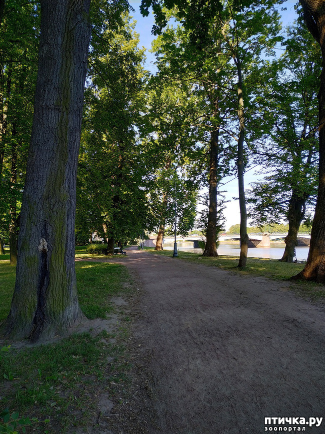  15:  