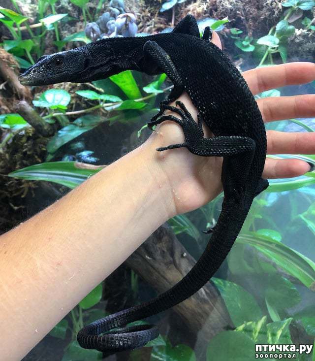 17:    ?   !   ..