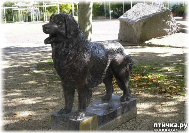  4: 