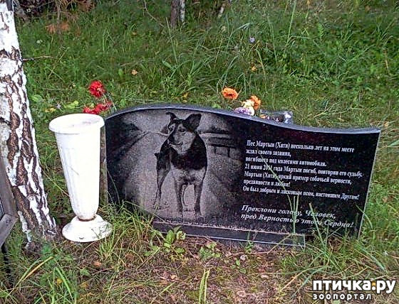  11:   