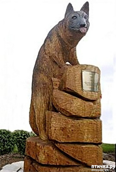  19:   