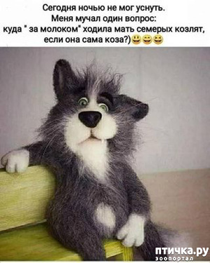 : 