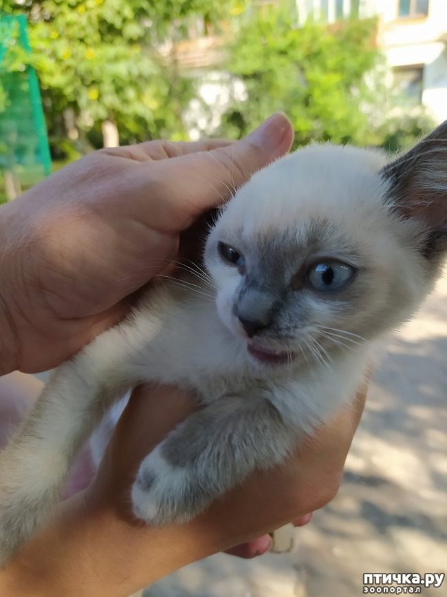 фотография 14: Не родись красивым? фото 14: Не родись красивым?